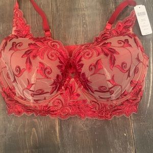 Some red lace bra
